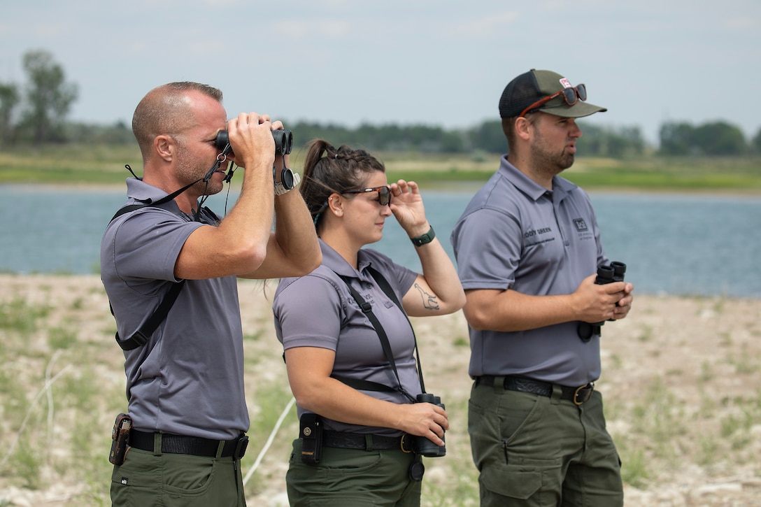 A photo of natural resources specialists searching for piping plover.