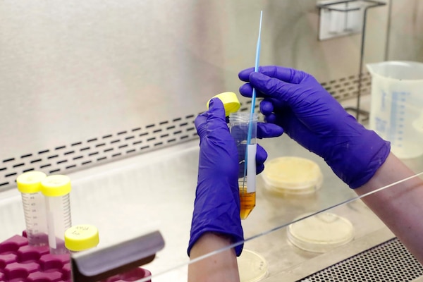 SILVER SPRING, Md. (Aug. 25, 2025) A researcher samples a solution at Naval Medical Research Command (NMRC), in the Agile Vaccines and Therapeutics (AVAT) laboratory. Research is being conducted to test the effectiveness of new approaches that offer solutions to frequently drug-resistant infections. NMRC, headquarters of Navy Medicine Research & Development, is engaged in a broad spectrum of activity from basic science in the laboratory to field studies in austere and remote areas of the world to investigations in operational environments. In support of Navy, Marine Corps and joint U.S. warfighter health, readiness and lethality, researchers study infectious diseases, biological warfare detection and defense, combat casualty care, environmental health concerns, aerospace and undersea medicine, operational mission support and epidemiology. (U.S. Navy photo by Aleece Williams/Released)