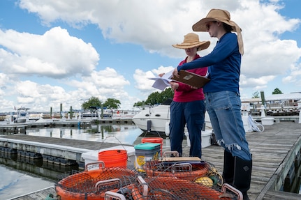 Jennifer McDonnell, left, installation management flight chief with the U.S. Air Force’s 11th Civil Engineer Squadron, and Amberleigh Ray, right, an environmental engineer with the 11th CES, prepare to release young mussels into the Potomac River at Joint Base Anacostia-Bolling, Washington, D.C., Aug. 22, 2025. The 11th CES partnered with the National Fish and Wildlife Foundation and the Anacostia Watershed Society to release the mussels, which help clean the water by filtering excess nutrient pollutants. Located at the confluence of the Potomac and Anacostia Rivers, which empty into the Chesapeake Bay watershed, JBAB provides an ideal location for the release initiative. (U.S. Air Force photo by Hayden Hallman)
