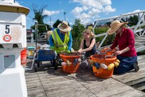 From left, Michael Hooks, an environmental engineer with the U.S. Air Force’s 11th Civil Engineer Squadron, Emma Schuldt, a volunteer, and Jennifer McDonnell, installation management flight chief with the 11th CES, attach a protective cover to buckets of young mussels to release into the Potomac River at Joint Base Anacostia-Bolling, Washington, D.C., Aug. 22, 2025. The covers protect the young mussels from predators while the mussels reach maturity. The 11th CES partnered with the National Fish and Wildlife Foundation and the Anacostia Watershed Society to release the mussels, which help clean the water by filtering excess nutrient pollutants. Located at the confluence of the Potomac and Anacostia Rivers, which empty into the Chesapeake Bay watershed, JBAB provides an ideal location for the release initiative. (U.S. Air Force photo by Hayden Hallman)