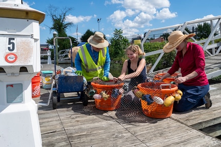 From left, Michael Hooks, an environmental engineer with the U.S. Air Force’s 11th Civil Engineer Squadron, Emma Schuldt, a volunteer, and Jennifer McDonnell, installation management flight chief with the 11th CES, attach a protective cover to buckets of young mussels to release into the Potomac River at Joint Base Anacostia-Bolling, Washington, D.C., Aug. 22, 2025. The covers protect the young mussels from predators while the mussels reach maturity. The 11th CES partnered with the National Fish and Wildlife Foundation and the Anacostia Watershed Society to release the mussels, which help clean the water by filtering excess nutrient pollutants. Located at the confluence of the Potomac and Anacostia Rivers, which empty into the Chesapeake Bay watershed, JBAB provides an ideal location for the release initiative. (U.S. Air Force photo by Hayden Hallman)