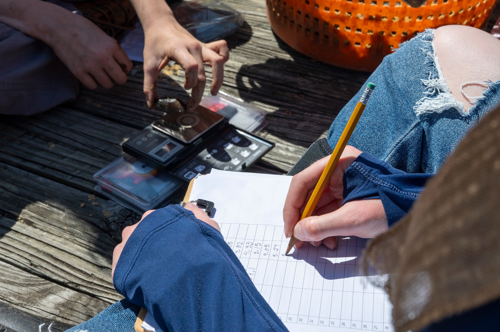 Emma Schuldt, left, a volunteer, measures the weight of a young mussel while Amberleigh Ray, right, an environmental engineer with the U.S. Air Force’s 11th Civil Engineer Squadron, annotates the results at Joint Base Anacostia-Bolling, Washington, D.C., Aug. 22, 2025. The team measured the size and weight to determine the maturity of the mussels. The 11th CES partnered with the National Fish and Wildlife Foundation and the Anacostia Watershed Society to release the mussels, which help clean the water by filtering excess nutrient pollutants. Located at the confluence of the Potomac and Anacostia Rivers, which empty into the Chesapeake Bay watershed, JBAB provides an ideal location for the release initiative. More than 1,000 young mussels were released during the project. (U.S. Air Force photo by Hayden Hallman)