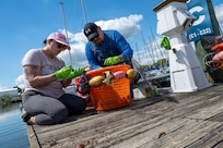 Sarah Payne, left, a manpower analyst with the U.S. Air Force’s 11th Civil Engineer Squadron, and Ryan Soens, chief of environmental management with the 11th CES, count and place young mussels into a bucket at Joint Base Anacostia-Bolling, Washington, D.C., Aug. 22, 2025. The 11th CES partnered with the National Fish and Wildlife Foundation and the Anacostia Watershed Society to release the mussels, which help clean the water by filtering excess nutrient pollutants. Located at the confluence of the Potomac and Anacostia Rivers, which empty into the Chesapeake Bay watershed, JBAB provides an ideal location for the release initiative. (U.S. Air Force photo by Hayden Hallman)