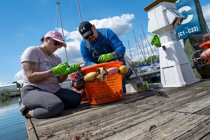 Sarah Payne, left, a manpower analyst with the U.S. Air Force’s 11th Civil Engineer Squadron, and Ryan Soens, chief of environmental management with the 11th CES, count and place young mussels into a bucket at Joint Base Anacostia-Bolling, Washington, D.C., Aug. 22, 2025. The 11th CES partnered with the National Fish and Wildlife Foundation and the Anacostia Watershed Society to release the mussels, which help clean the water by filtering excess nutrient pollutants. Located at the confluence of the Potomac and Anacostia Rivers, which empty into the Chesapeake Bay watershed, JBAB provides an ideal location for the release initiative. (U.S. Air Force photo by Hayden Hallman)
