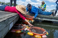 Jennifer McDonnell, left, installation management flight chief with the U.S. Air Force’s 11th Civil Engineer Squadron, and Ryan Soens, right, chief of environmental management with the 11th CES, place buckets of young mussels into the Potomac River at Joint Base Anacostia-Bolling, Washington, D.C., Aug. 22, 2025. The 11th CES partnered with the National Fish and Wildlife Foundation and the Anacostia Watershed Society to release the mussels, which help clean the water by filtering excess nutrient pollutants. Located at the confluence of the Potomac and Anacostia Rivers, which empty into the Chesapeake Bay watershed, JBAB provides an ideal location for the release initiative. More than 1,000 young mussels were released during the project. (U.S. Air Force photo by Hayden Hallman)