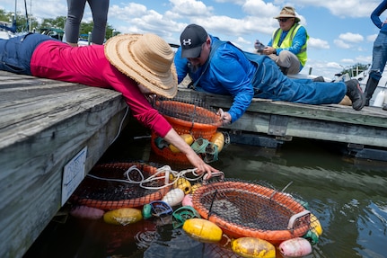 Jennifer McDonnell, left, installation management flight chief with the U.S. Air Force’s 11th Civil Engineer Squadron, and Ryan Soens, right, chief of environmental management with the 11th CES, place buckets of young mussels into the Potomac River at Joint Base Anacostia-Bolling, Washington, D.C., Aug. 22, 2025. The 11th CES partnered with the National Fish and Wildlife Foundation and the Anacostia Watershed Society to release the mussels, which help clean the water by filtering excess nutrient pollutants. Located at the confluence of the Potomac and Anacostia Rivers, which empty into the Chesapeake Bay watershed, JBAB provides an ideal location for the release initiative. More than 1,000 young mussels were released during the project. (U.S. Air Force photo by Hayden Hallman)