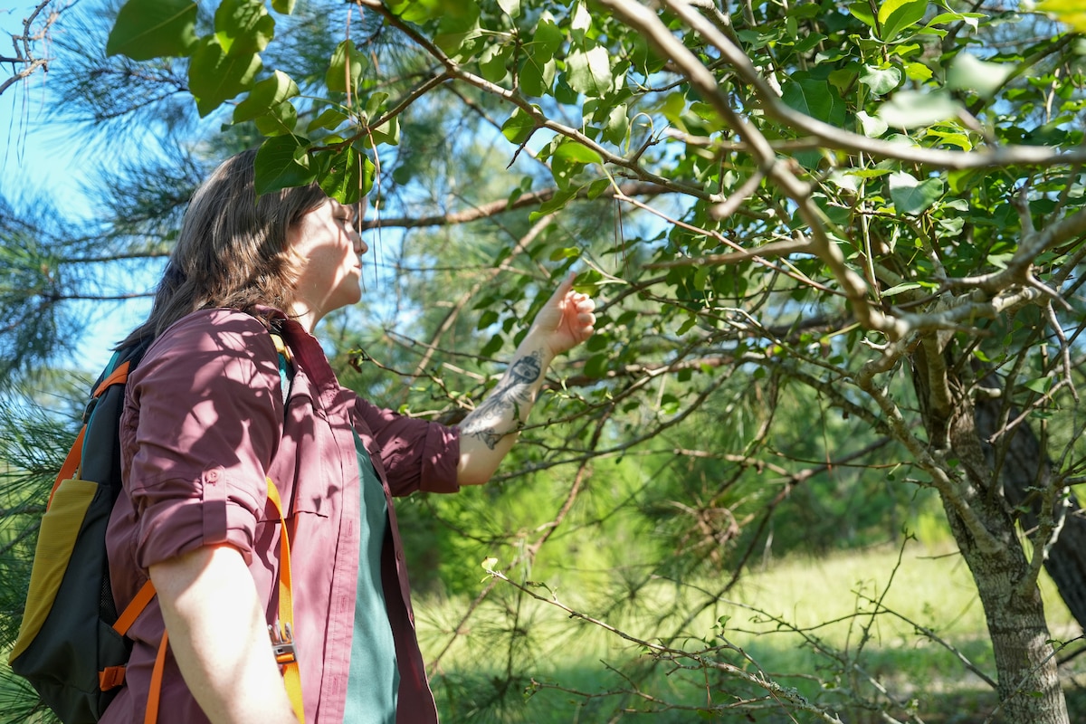 A woman looking at a plant