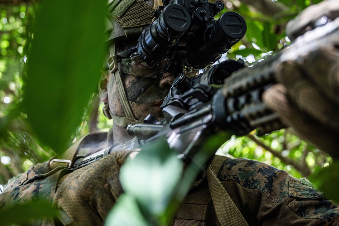 A Marine in tactical gear wearing a binoculars and camouflage paint aims a rifle surrounded by thick vegetation during the day.