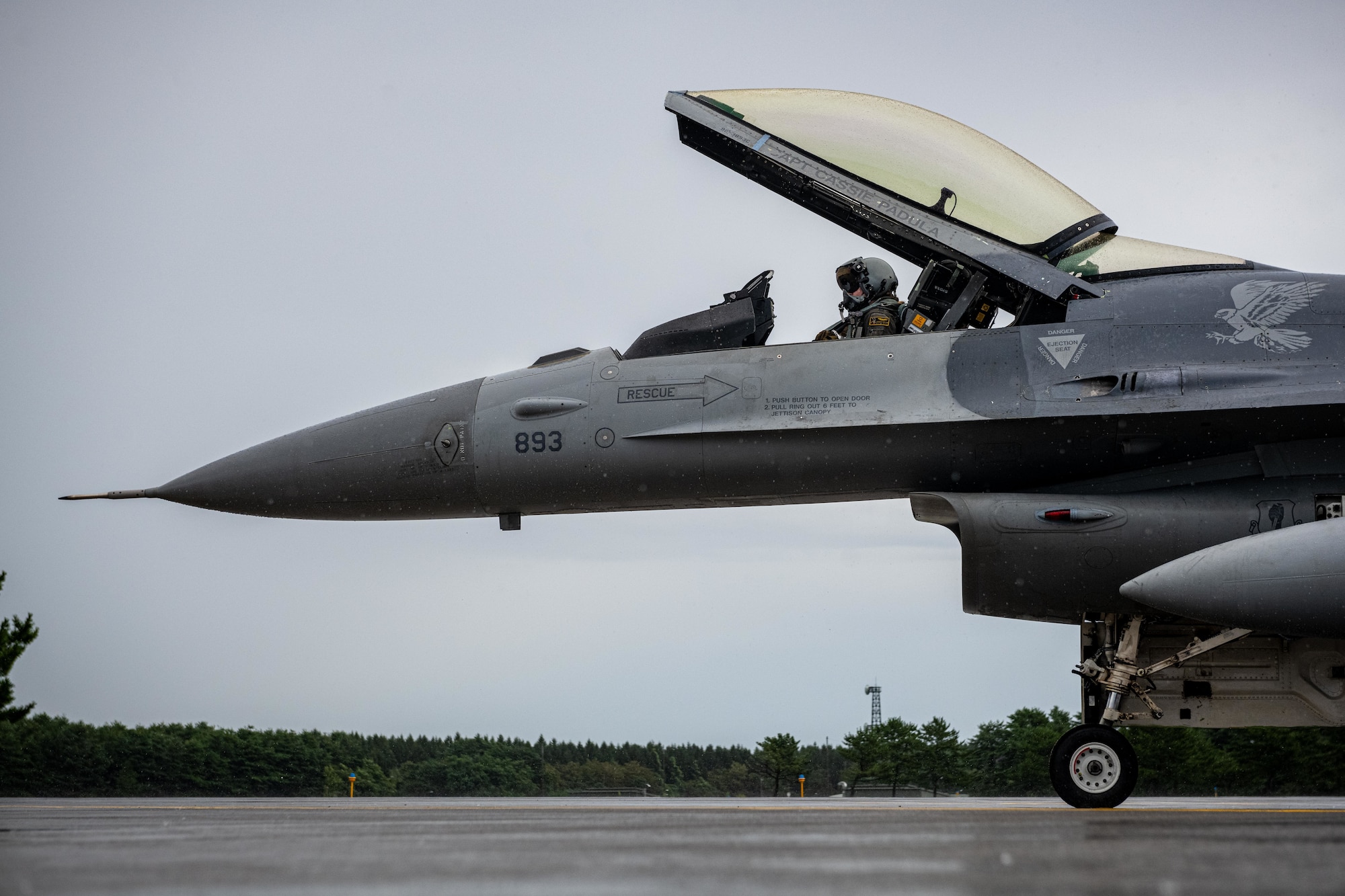 U.S. Air Force Capt. Carlyann Dean, 14th Fighter Squadron F-16 Fighting Falcon pilot, lowers the canopy of an F-16.