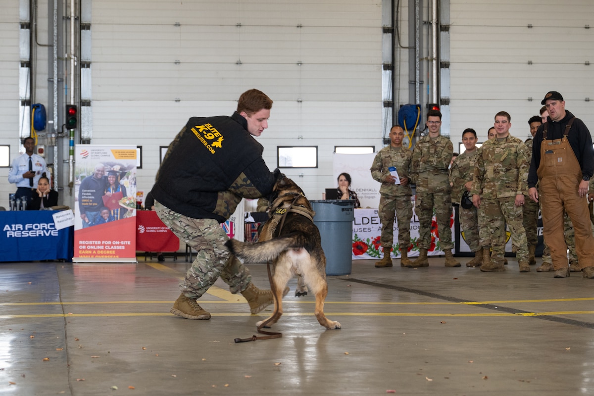 U.S. Airmen assigned to the 100th Security Forces Squadron hold a military working dog demonstration during the 100th MSG base agency showcase at RAF Mildenhall, England, Aug. 27, 2025