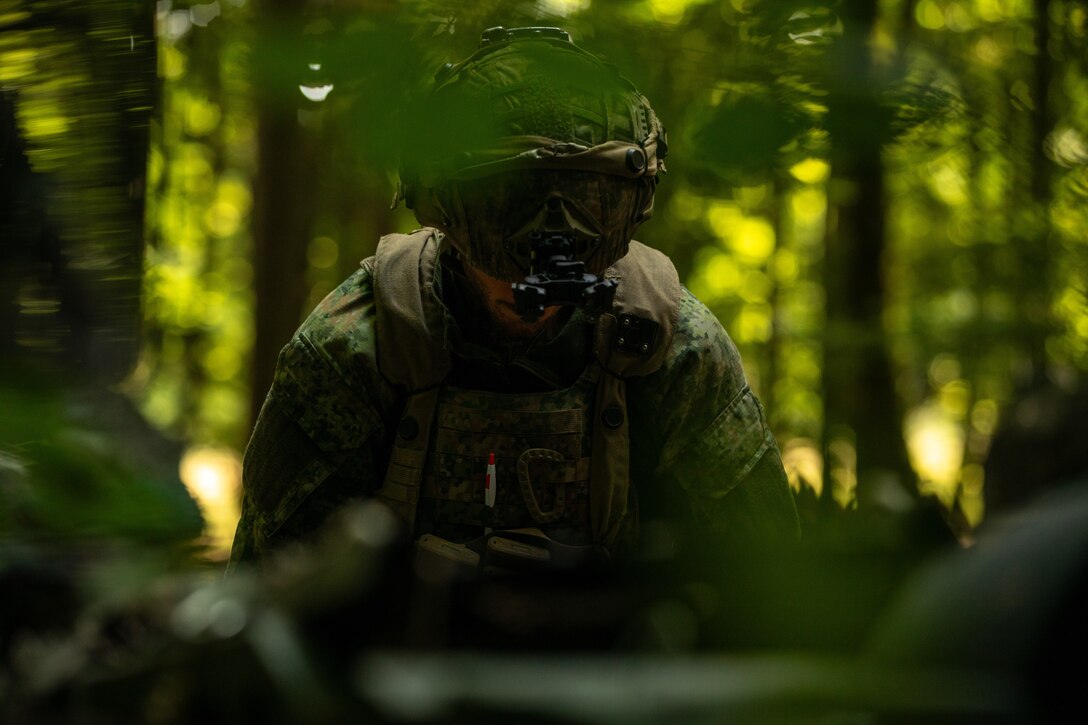 A Dutch forces during exercise Saber Junction 25