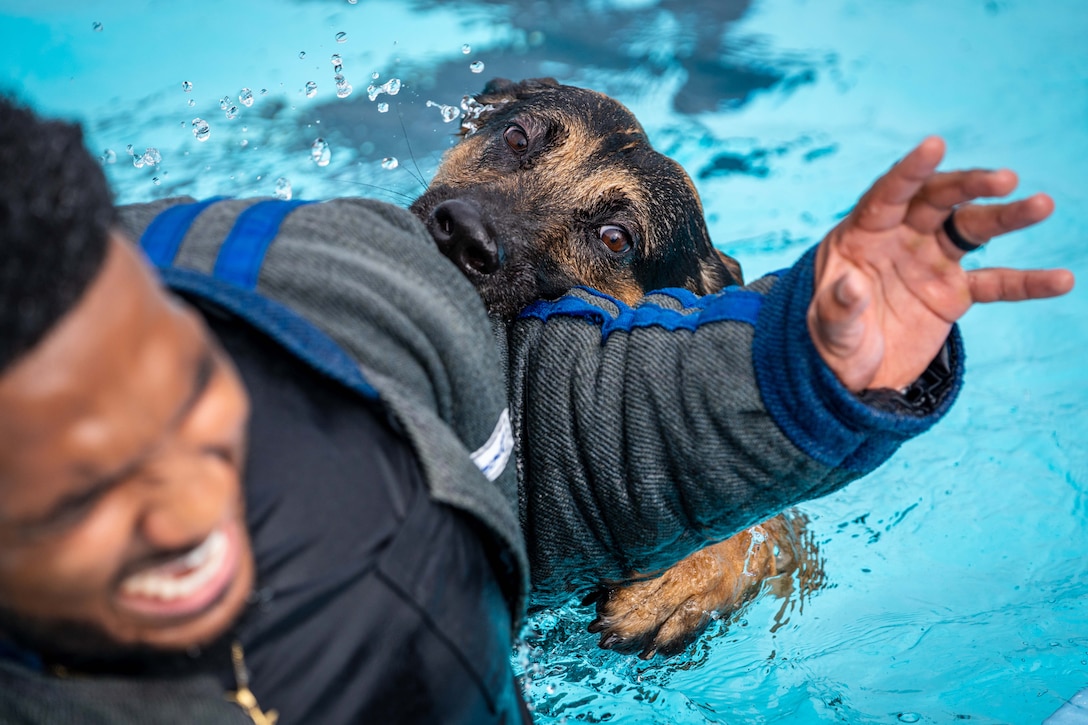 A military working dog bites an airman wearing protective gear in a pool.