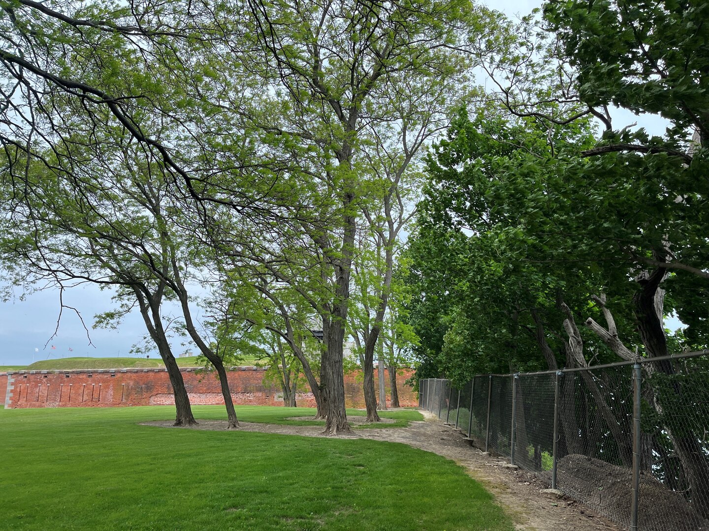 Old Fort Niagara tree survey