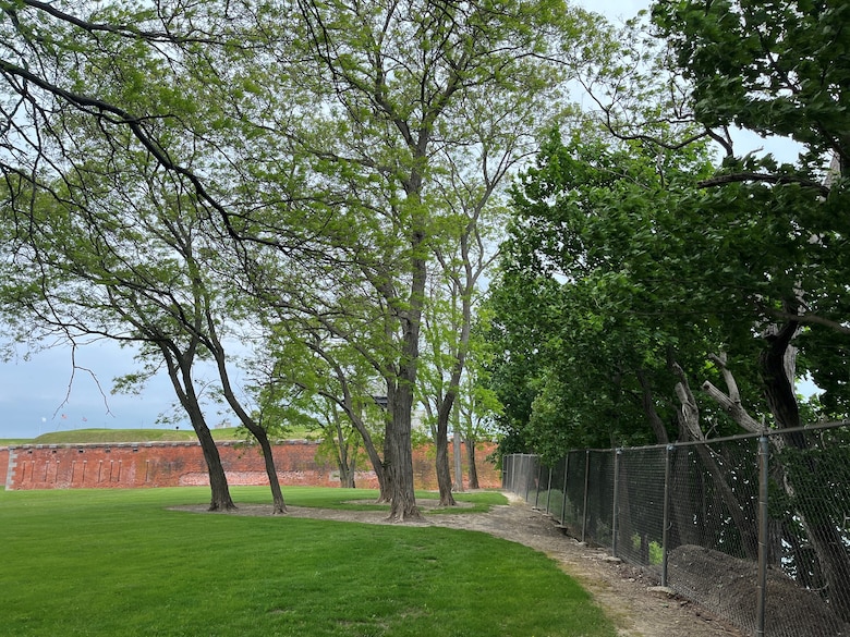 Old Fort Niagara tree survey
