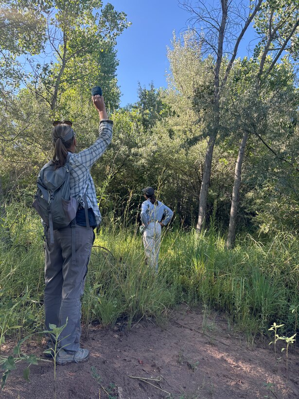 USACE-Albuquerque District biologists conduct bird surveys, June 2024, in an attempt to solicit a response from the yellow-billed cuckoo, a threatened species known to occur in the Albuquerque Bosque.