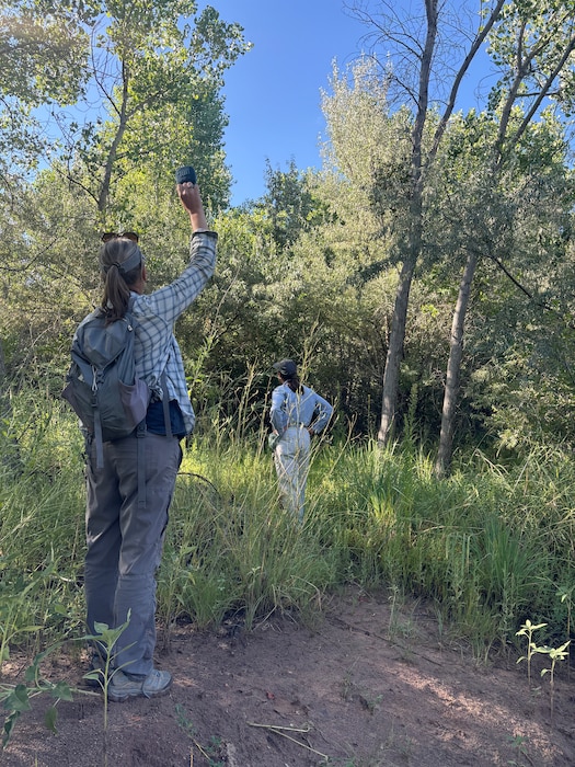 USACE-Albuquerque District biologists conduct bird surveys, June 2024, in an attempt to solicit a response from the yellow-billed cuckoo, a threatened species known to occur in the Albuquerque Bosque. These series of dawn to early morning biological surveys occur during bird migratory season (usually in May and June). They occur on past and current USACE projects. These species are known as indicators of restoration, and habitat suitability for various types of bosque community mosaics. Presence and nesting are key in such studies and could contribute towards signs of restoration success. These surveys also inform a larger interagency and international survey network, coordinating with BOR, USFWS, USFS, NMDGF, state agencies, Pueblos, other First Nations, as well as academic and NGO research teams in Bolivia, Mexico and other parts of Latin America. Photo by Rodrigo Sedeno.
