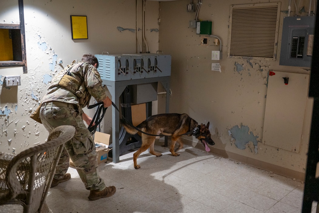 U.S. Air Force Staff Sgt. Kannyd Ocampo-Hernandez, 822nd Base Defense Squadron military working dog handler, and MWD Mali perform a search during validation training at Moody Air Force Base, Aug. 27, 2025. The reoccuring validations help ensure K9 teams stay sharp and ready for real-world missions. (U.S. Air Force photo by Senior Airman Leonid Soubbotine)