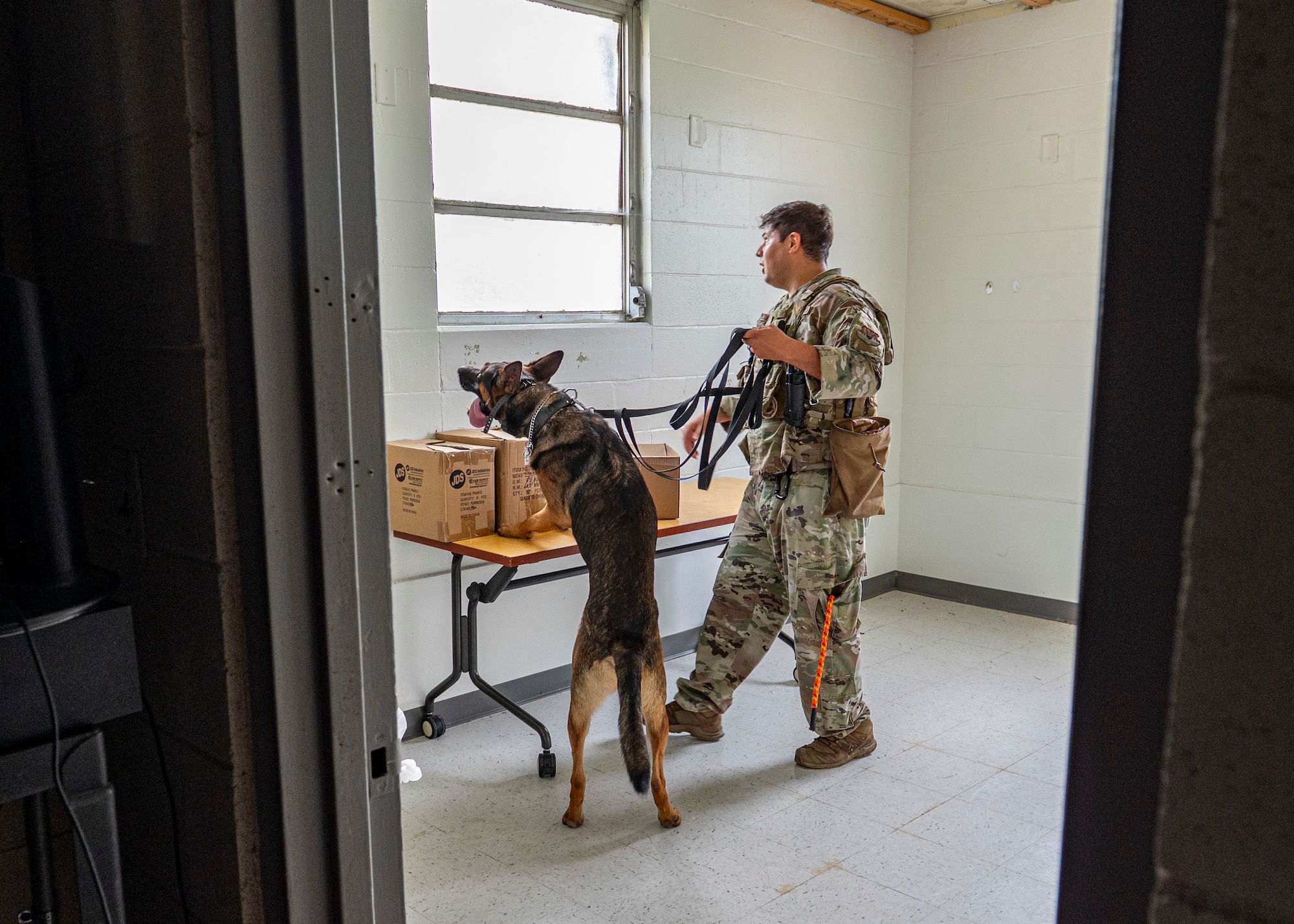 U.S. Air Force Staff Sgt. Kannyd Ocampo-Hernandez, 822nd Base Defense Squadron military working dog handler, and MWD Mali sweep a room during validation training at Moody Air Force Base, Aug. 27, 2025. These exercises test detection, obedience and teamwork under realistic conditions. (U.S. Air Force photo by Senior Airman Leonid Soubbotine)