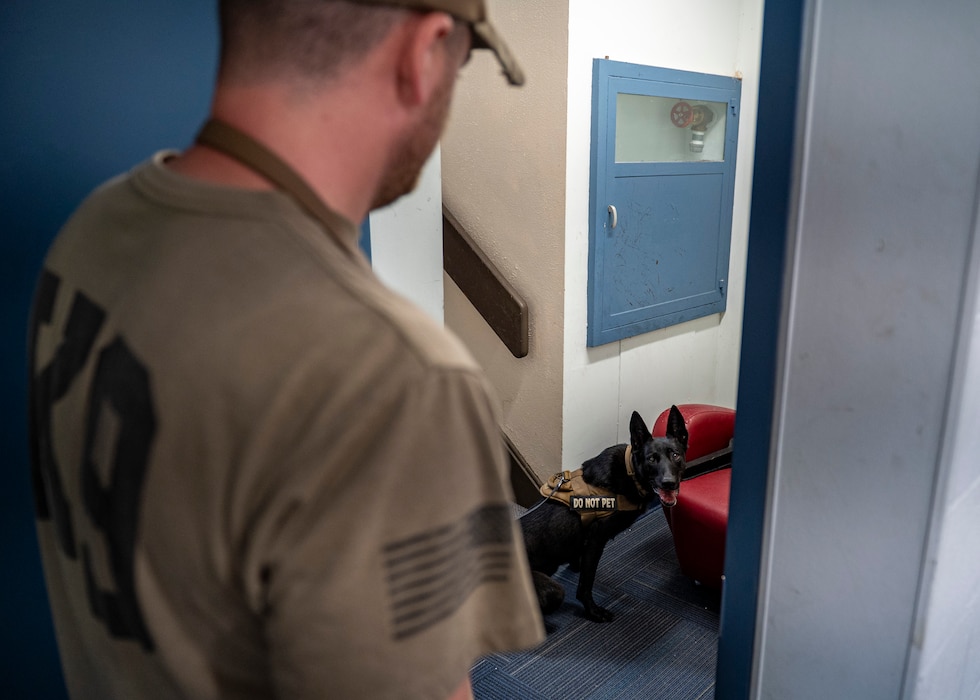 Bbicbic, U.S. Air Force Military Working Dog assigned to the 822nd Base Defense Squadron, sits to indicate a scent to Staff Sgt. Jesse Kazner, 822nd BDS MWD handler, at Moody Air Force Base, Aug. 27, 2025. Regular training sharpens communication between the handler and K9, building trust and readiness. (U.S. Air Force photo by Senior Airman Leonid Soubbotine)