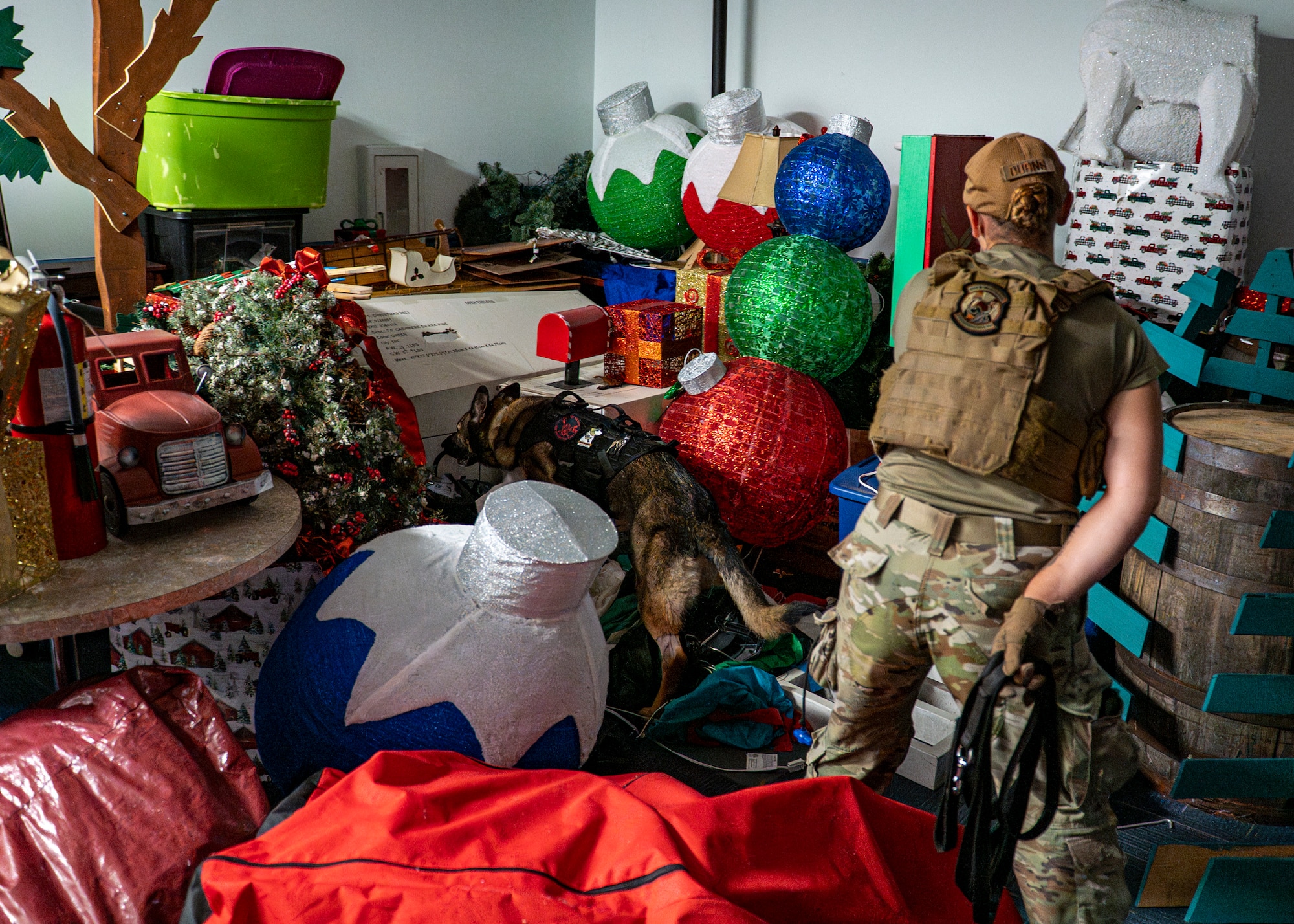 U.S. Air Force Staff Sgt. Courtney Burns, 822nd Base Defense Squadron military working dog handler, and MWD Rita sweep a room during validation training at Moody Air Force Base, Aug. 27, 2025. The training mirrors real-world missions, where teams search for potential threats in complex environments. (U.S. Air Force photo by Senior Airman Leonid Soubbotine)