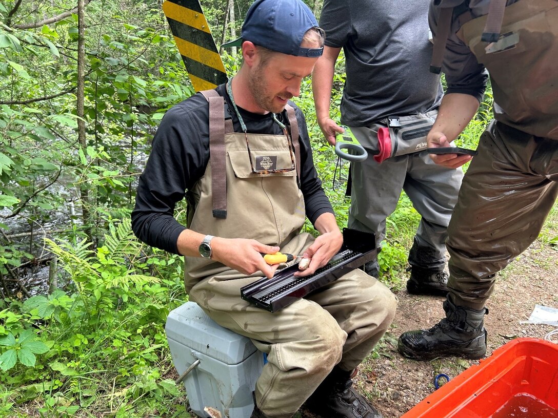 Man sits on cooler in wooded area holding a fish he has tagged for monitoring.
