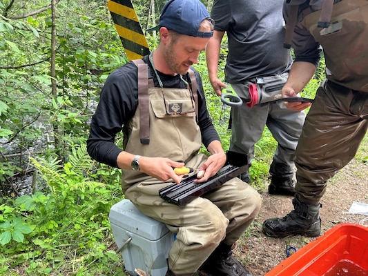 Man sits on cooler in wooded area holding a fish he has tagged for monitoring.