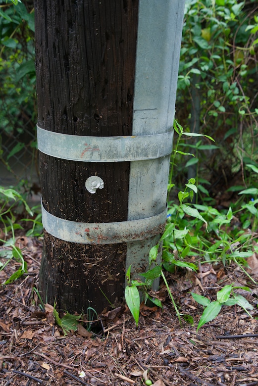 A dark brown utility pole with a metal frame with brown mulch in the foreground and green plants in the background.