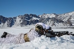 Two men in white cold weather suits lay in the snow and point rifles.