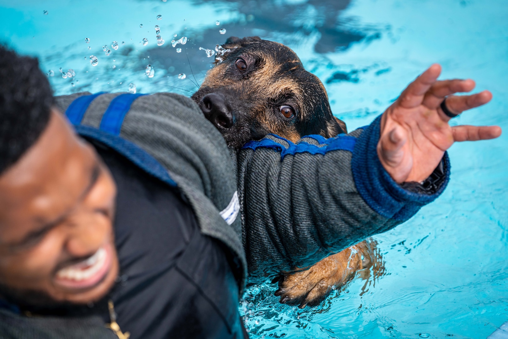 Dog biting Airman