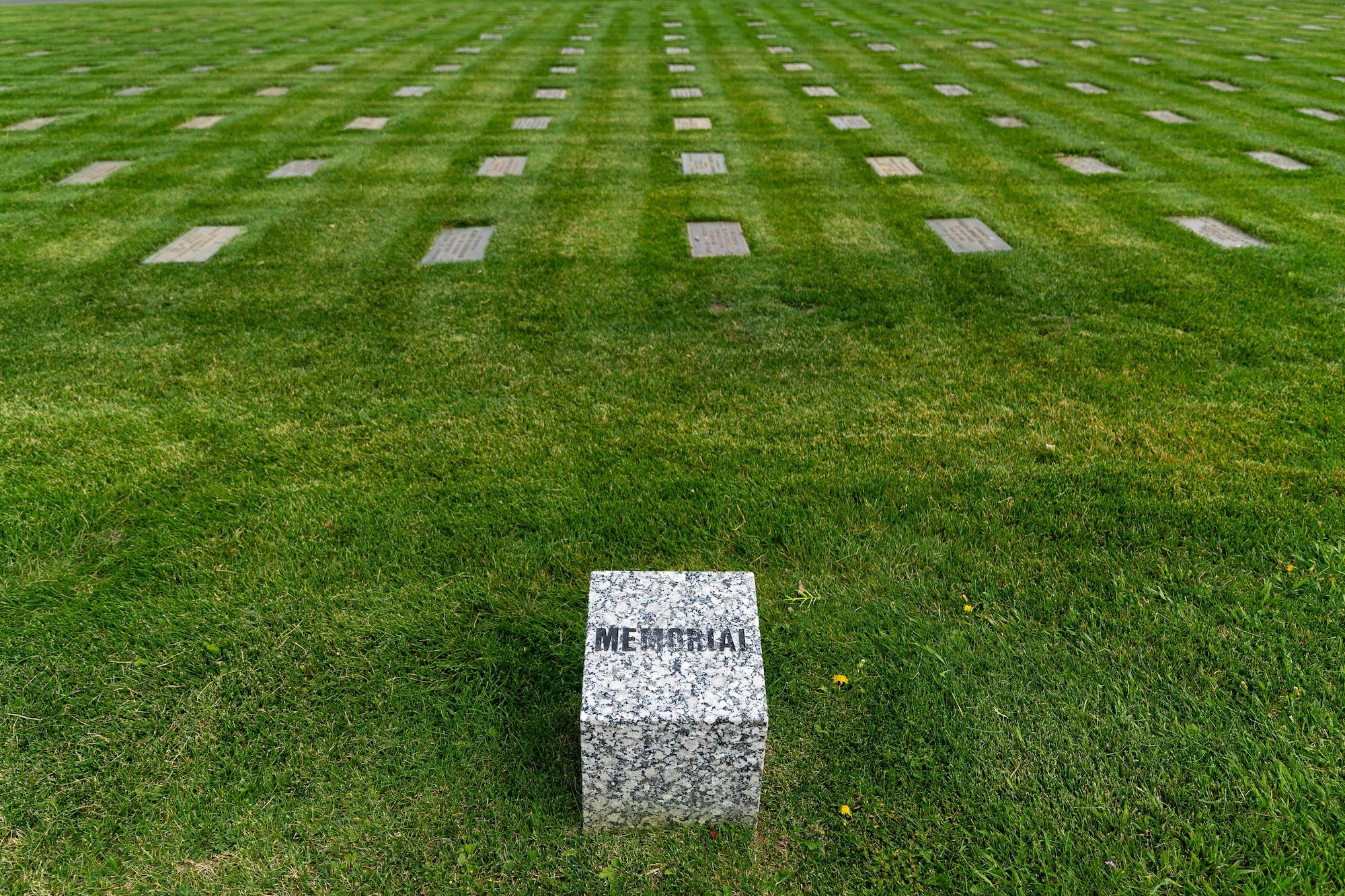 Photo of a granite marker that reads "memorial", in front of several memorial markers on the ground.