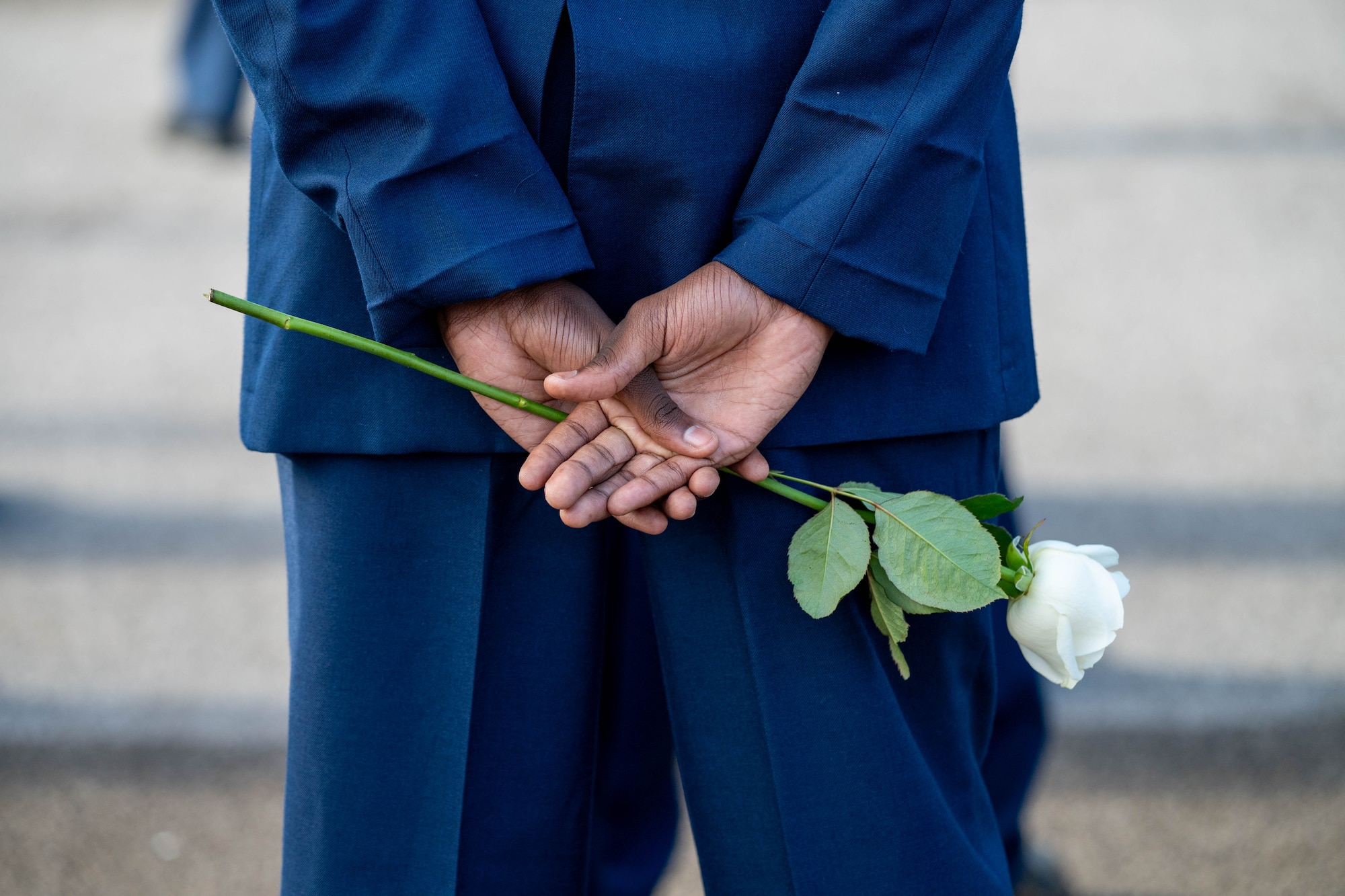 A Junior ROTC cadet holds a white rose