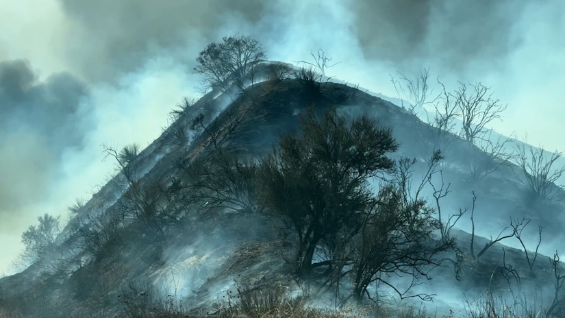 Smoke rises from a hill covered with charred trees.