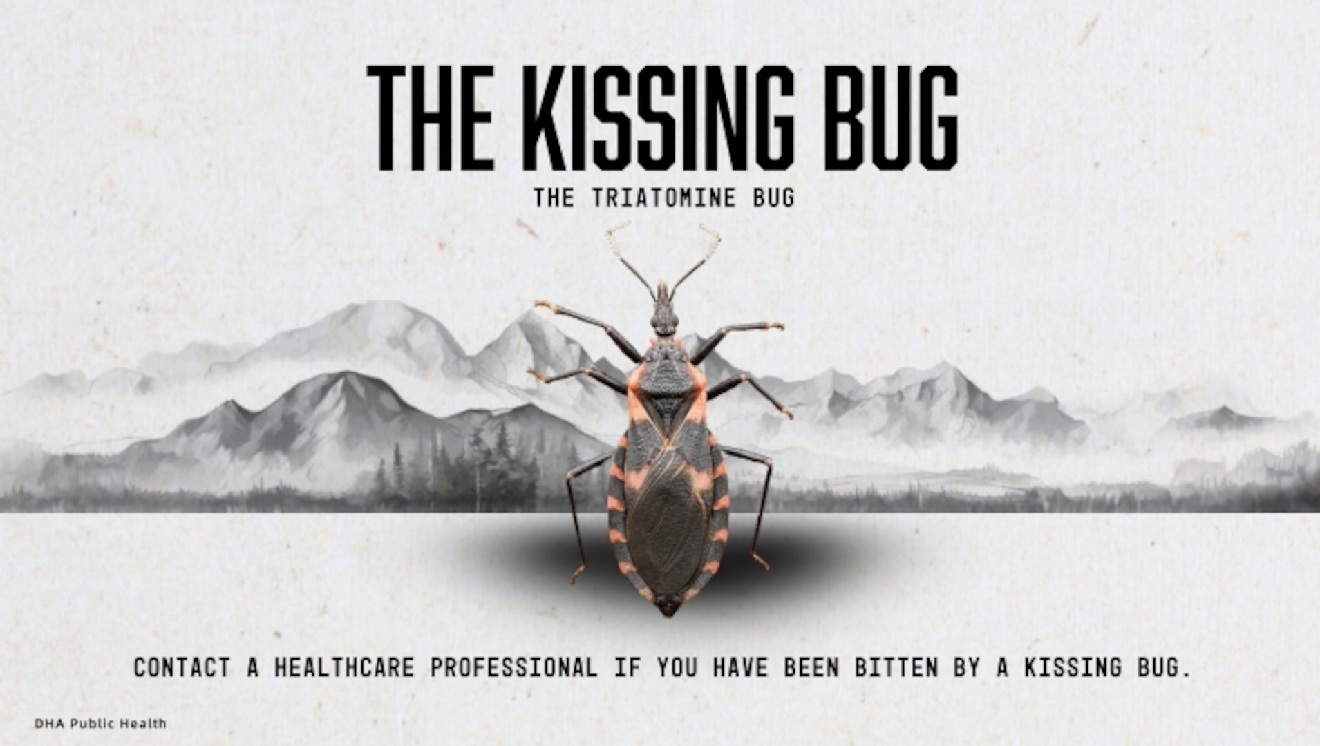 Image of kissing bug. Text reads: "THE KISSING BUG: The triatomine bug. Contact a healthcare professional if you have been bitten by a kissing bug."