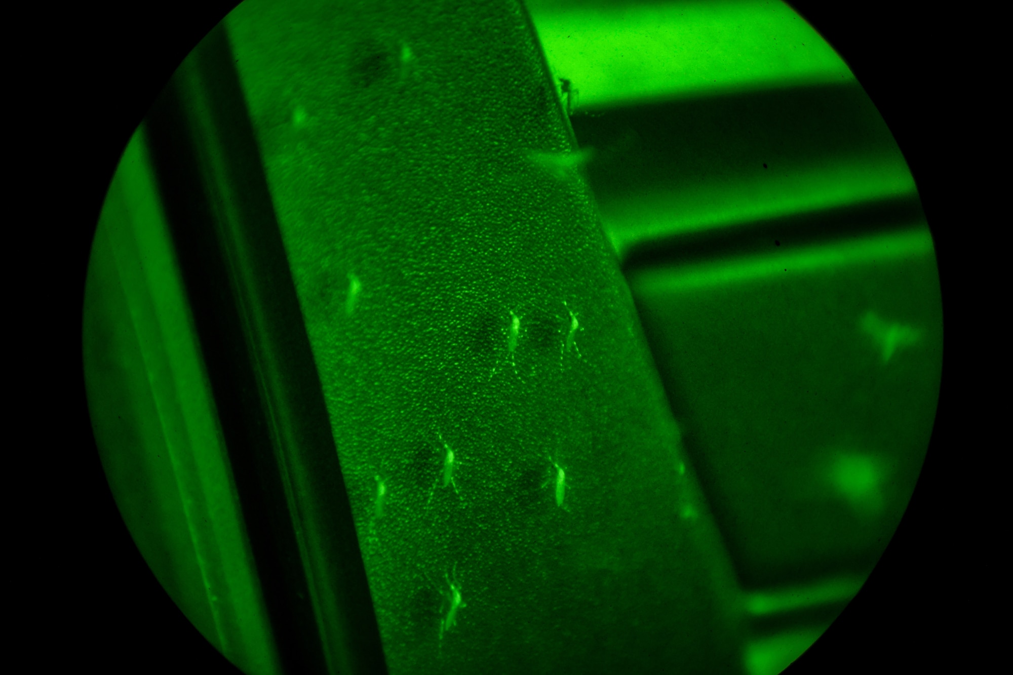 A scourge of mosquitoes collects outside a 628th Civil Engineer Squadron pest management shop vehicle on the ground waiting for a visual on a 910th Airlift Wing aerial spray-modified C-130H Hercules aircraft dispersing mosquito control product, Sept. 9, 2025, over the marsh areas of the Naval Weapons Station, Joint Base Charleston, South Carolina.