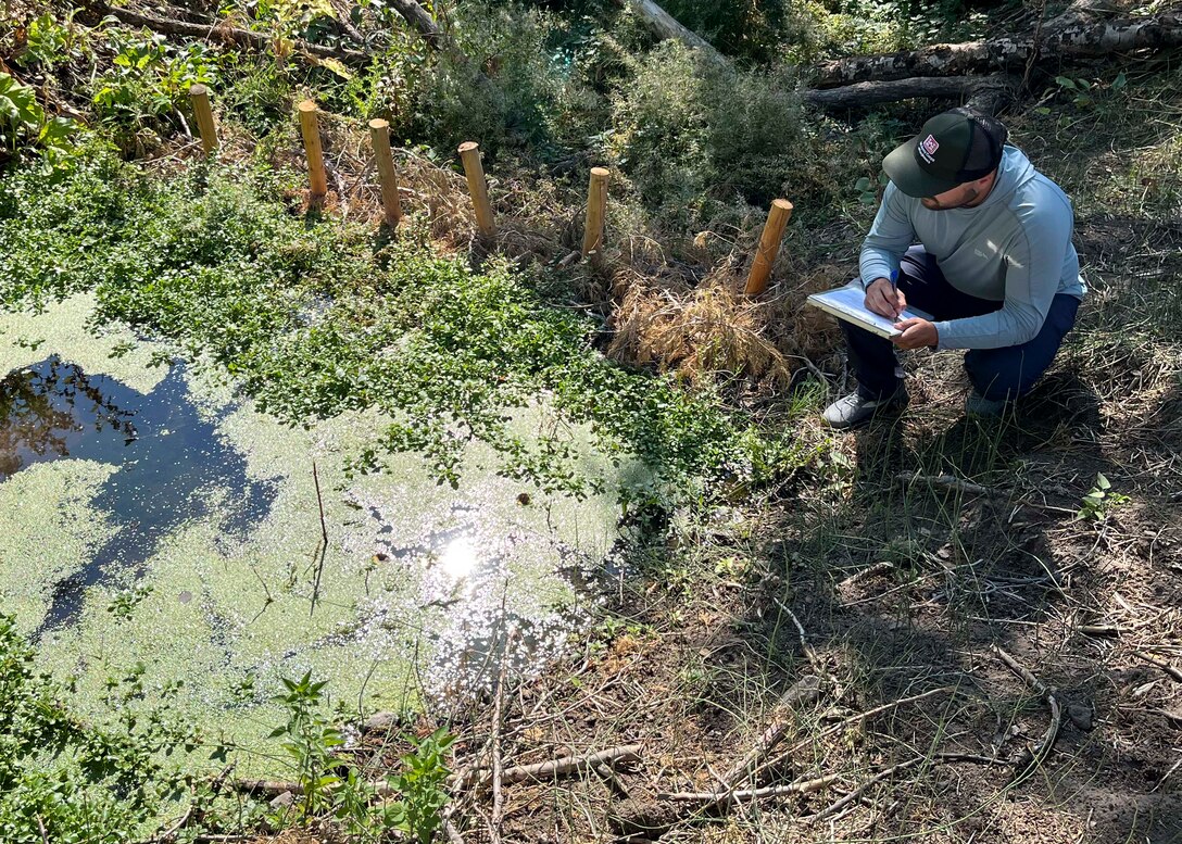 Brendan Jones, environmental resource specialist with the Idaho Falls Regulatory Division Field Office, Walla Walla District, U.S. Army Corps of Engineers, conducts a compliance inspection during a site visit of a completed Beaver Dam Analog (BDA) restoration project at Spring Creek, a direct tributary of the South Fork Snake River, in Bonneville County, Sept. 3. The District’s Regulatory program covers the entire state, operating field offices in Boise, Coeur d’Alene, and Idaho Falls, along with support from headquarters in Walla Walla, Washington. Each year, specialists review about 2,000 permit-related actions, issue or verify more than 600 permits, and complete around 350 jurisdictional determinations. (U.S. Army photo courtesy of Brendan Jones)