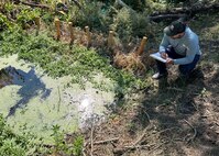 Brendan Jones, environmental resource specialist with the Idaho Falls Regulatory Division Field Office, Walla Walla District, U.S. Army Corps of Engineers, conducts a compliance inspection during a site visit of a completed Beaver Dam Analog (BDA) restoration project at Spring Creek, a direct tributary of the South Fork Snake River, in Bonneville County, Sept. 3. The District’s Regulatory program covers the entire state, operating field offices in Boise, Coeur d’Alene, and Idaho Falls, along with support from headquarters in Walla Walla, Washington. Each year, specialists review about 2,000 permit-related actions, issue or verify more than 600 permits, and complete around 350 jurisdictional determinations. (U.S. Army photo courtesy of Brendan Jones)