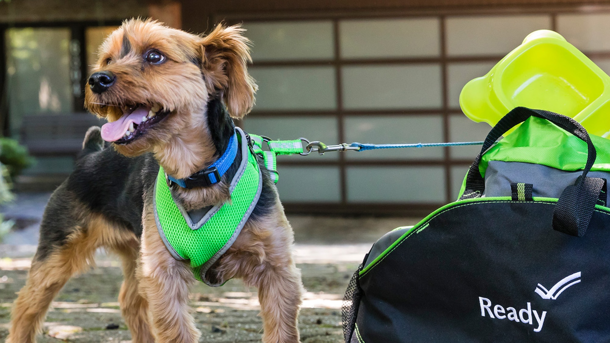 FEMA provides information on pet safety during in emergency conditions.