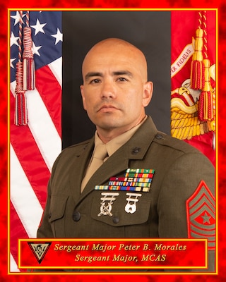 Portrait of Senior Enlisted Leader