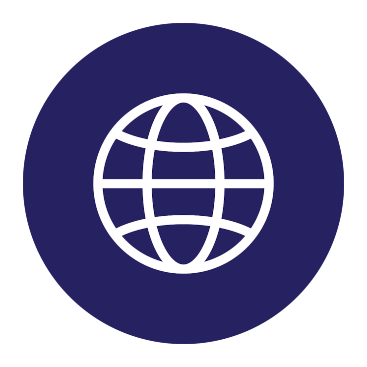 wireframe globe logo in white on a dark blue background