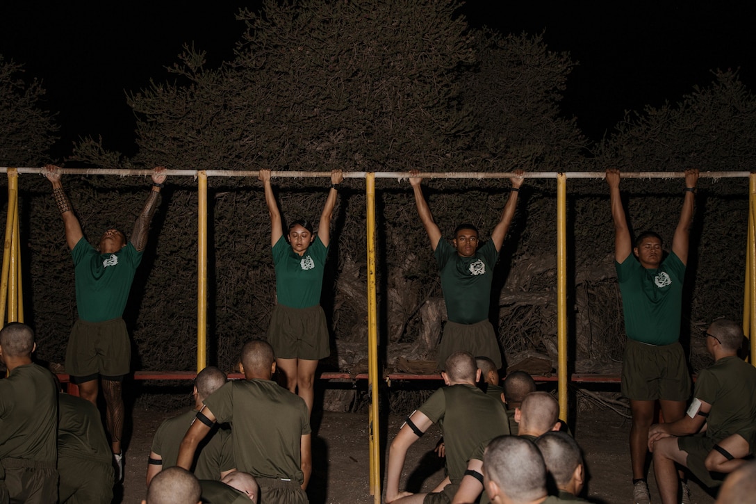 Alpha Company Initial Strength Assessment