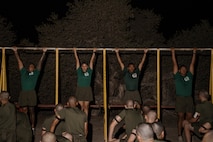 Alpha Company Initial Strength Assessment