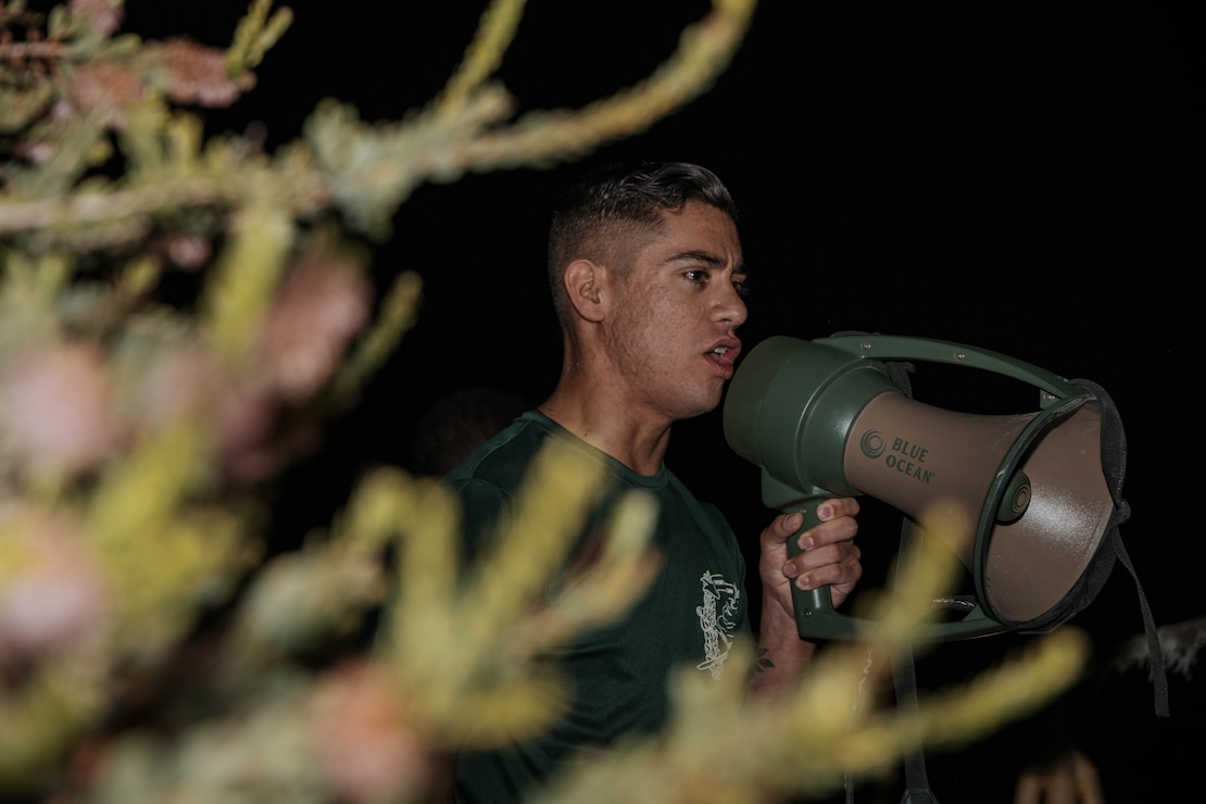 Alpha Company Initial Strength Assessment