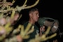 Alpha Company Initial Strength Assessment
