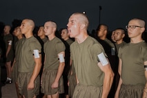 Alpha Company Initial Strength Assessment