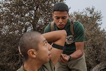 Alpha Company Initial Strength Assessment