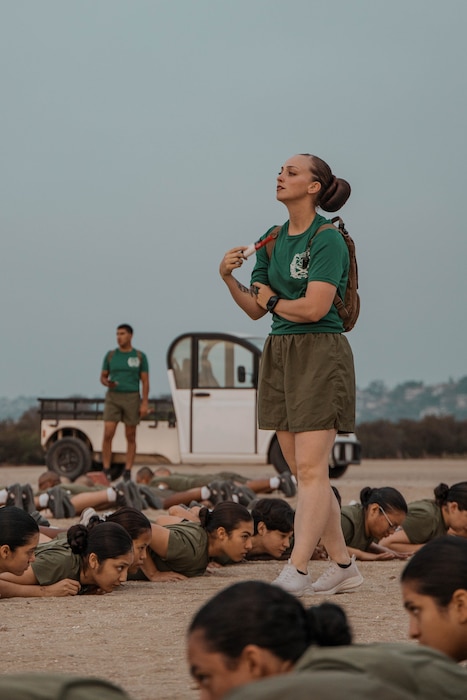 Alpha Company Initial Strength Assessment