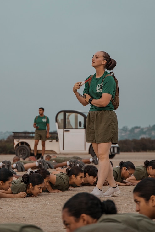 Alpha Company Initial Strength Assessment