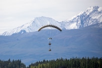 Group of people observe a parachute fall from the sky