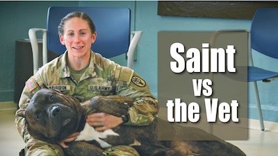 Meet Saint—the enormous, lovable dog who turns a Fort Riley Veterinary PSA into a blooper reel. While CPT Ashley Sturgeon explains why registering your pets on post keeps them healthy and eligible for care, Saint is busy licking her face, crawling onto her lap, and generally proving why vaccinations and registration matter for active (and adorable) dogs like him.