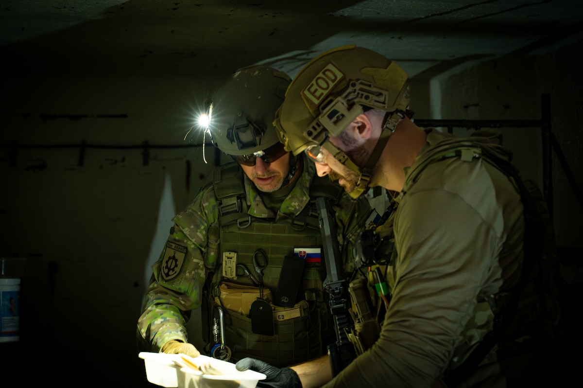 MiniGATOR 2025: 419th Airmen train with allies in the Czech